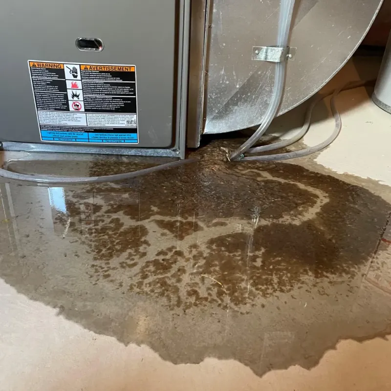 Appliance Leak Cleanup in Glenn Dale, MD